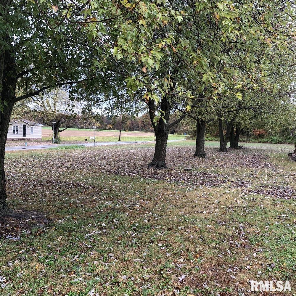 17018 East Thompson Road Opdyke, IL 62872 - Photo 18 of 18