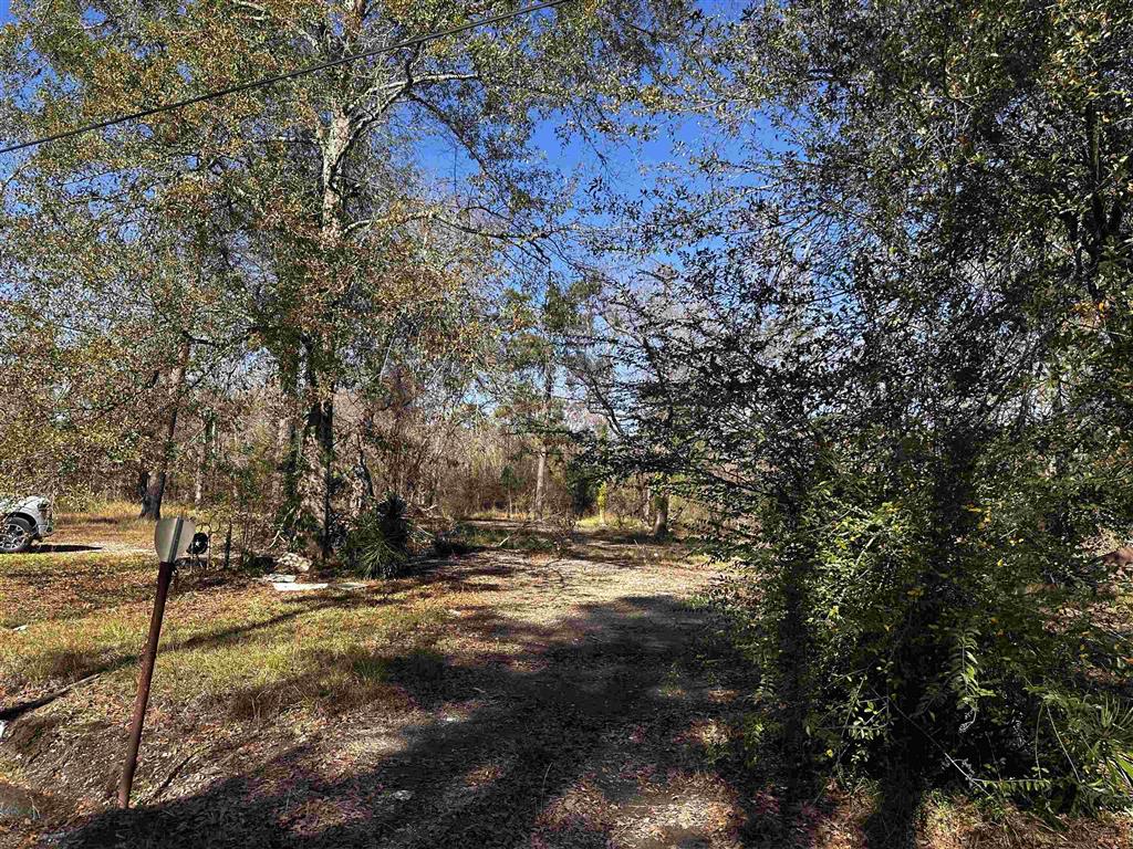112 Angus Drive Ragley, LA 70657 - Photo 3 of 11