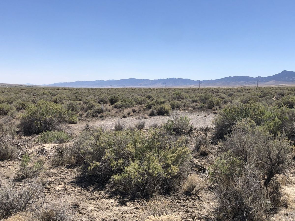 Lot 64 Sun Valley, Unit 64 Spring Creek, NV 89815 - Photo 3 of 4