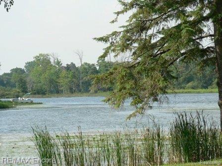 4402 Grange Hall Road Holly, MI 48442 - Photo 5 of 25 Duck Lake