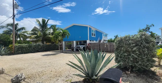 a view of a potted plants with sky view