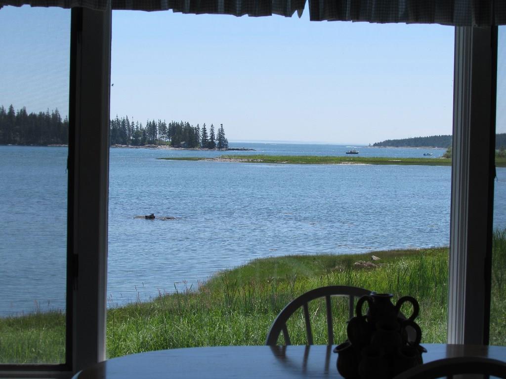 508 Port Clyde Road St. George, ME 04860 - Photo 15 of 20 View from dining table.