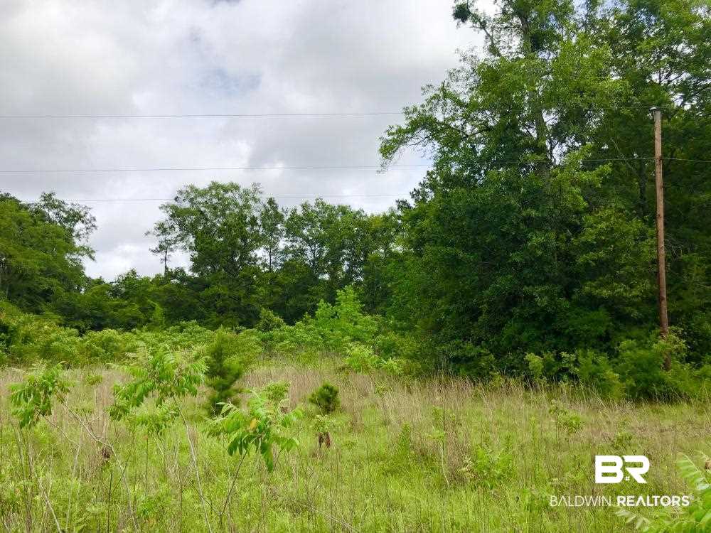 9608 North Bentley Road Creola, AL 36525 - Photo 6 of 14