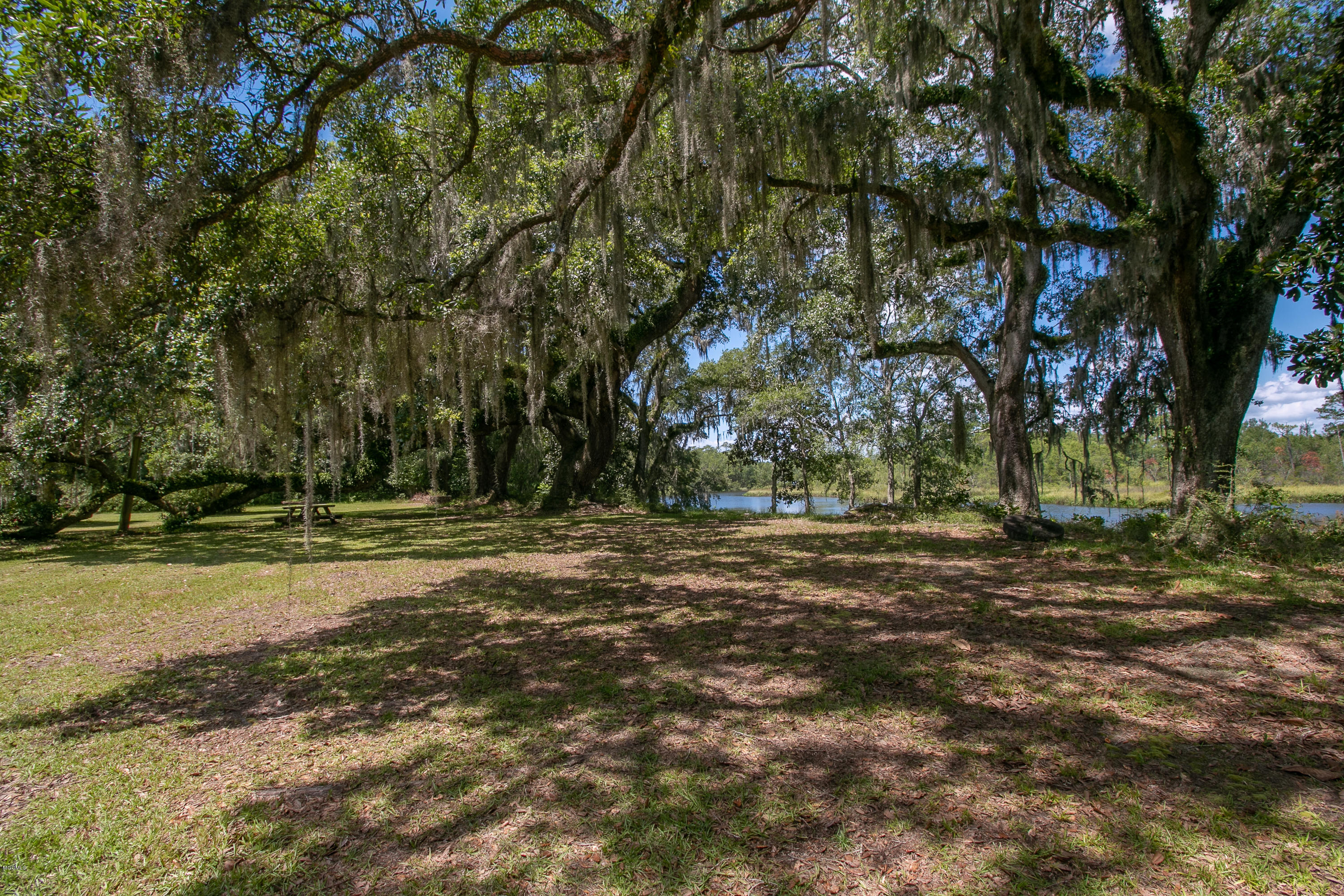 6670 Crump Road Kiln, MS 39556 - Photo 12 of 58 Live oak trees along river