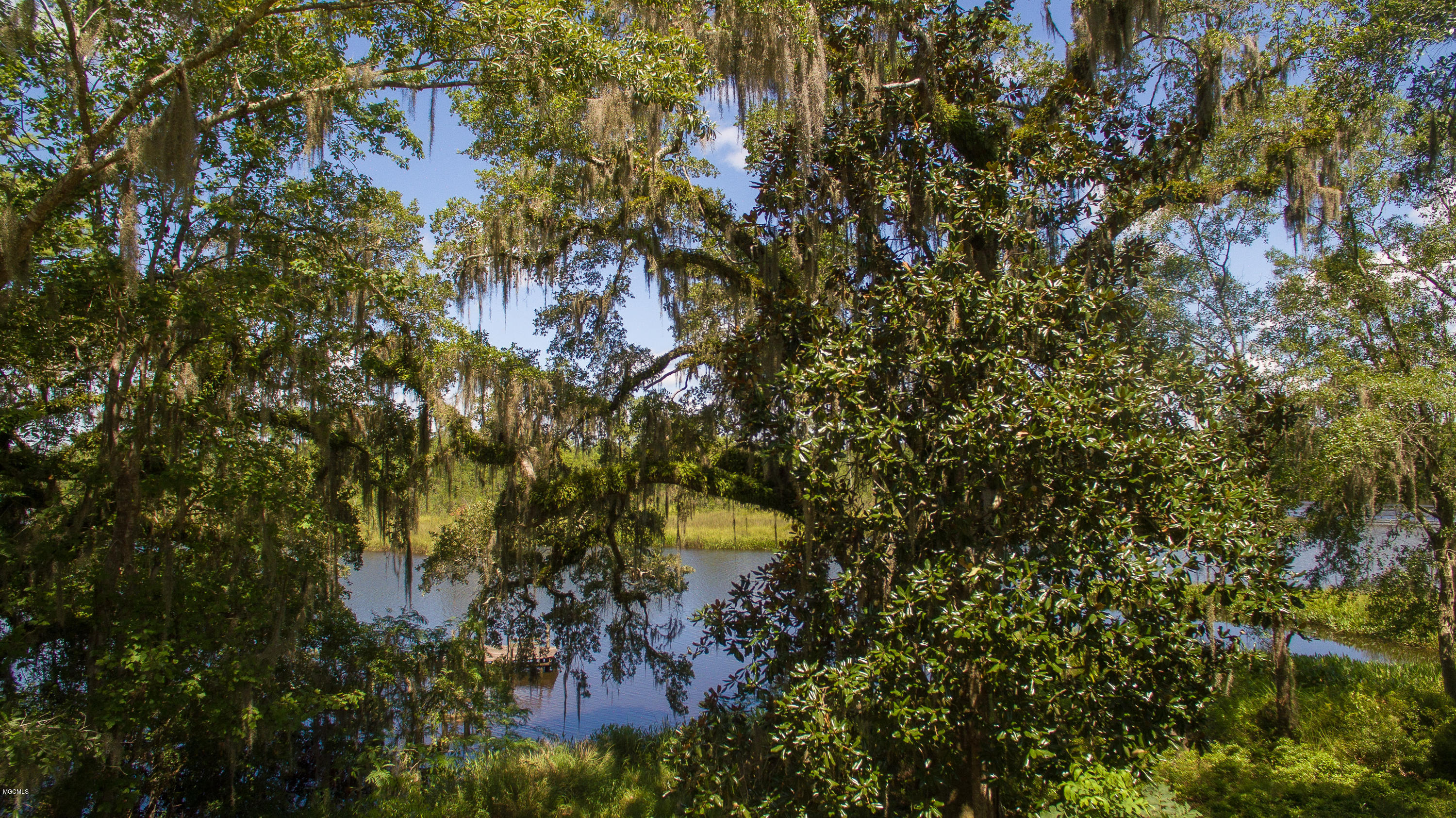 6670 Crump Road Kiln, MS 39556 - Photo 13 of 58 Live oak trees on the river bank