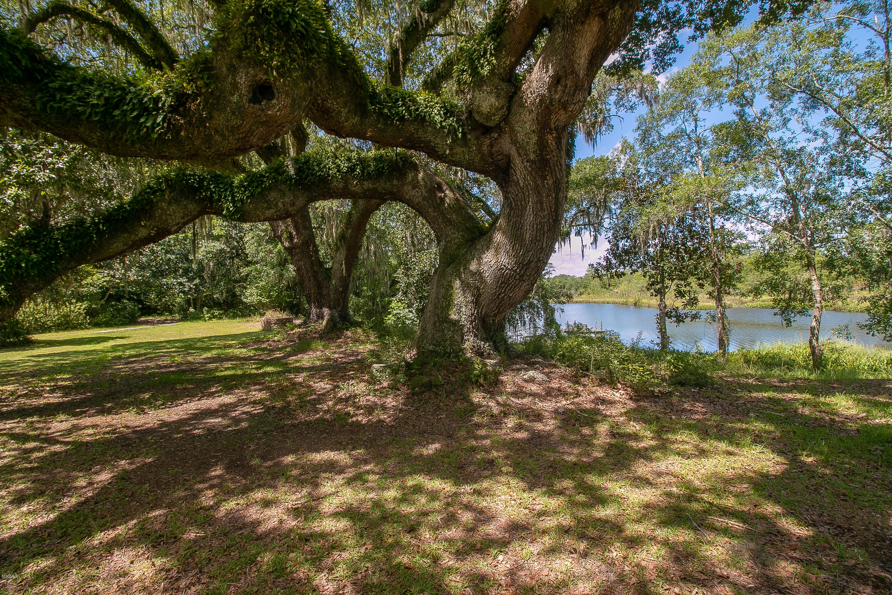 6670 Crump Road Kiln, MS 39556 - Photo 14 of 58 Live oak trees along river