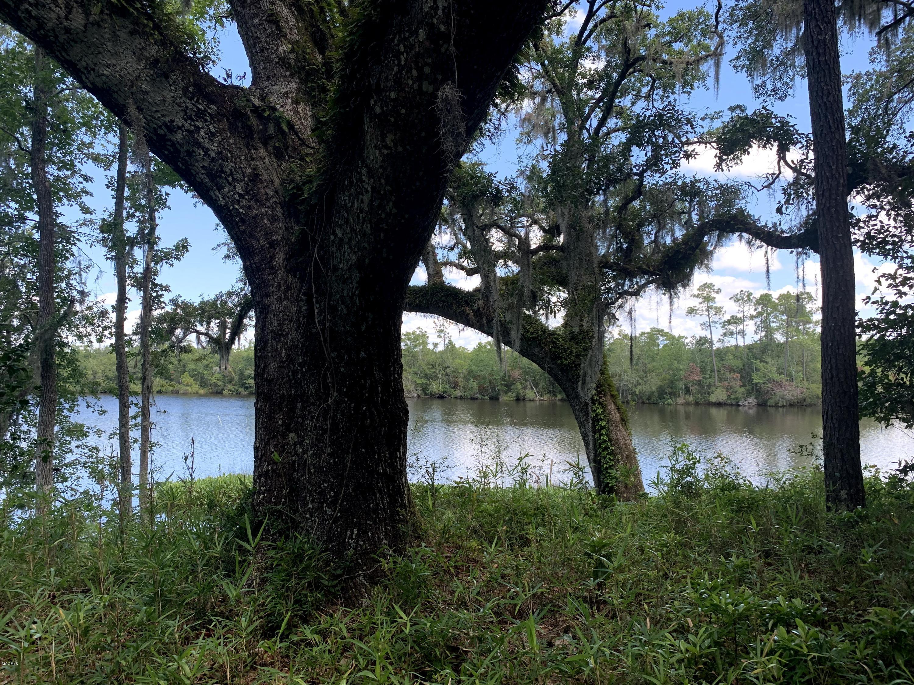 6670 Crump Road Kiln, MS 39556 - Photo 15 of 58 Jourdan River