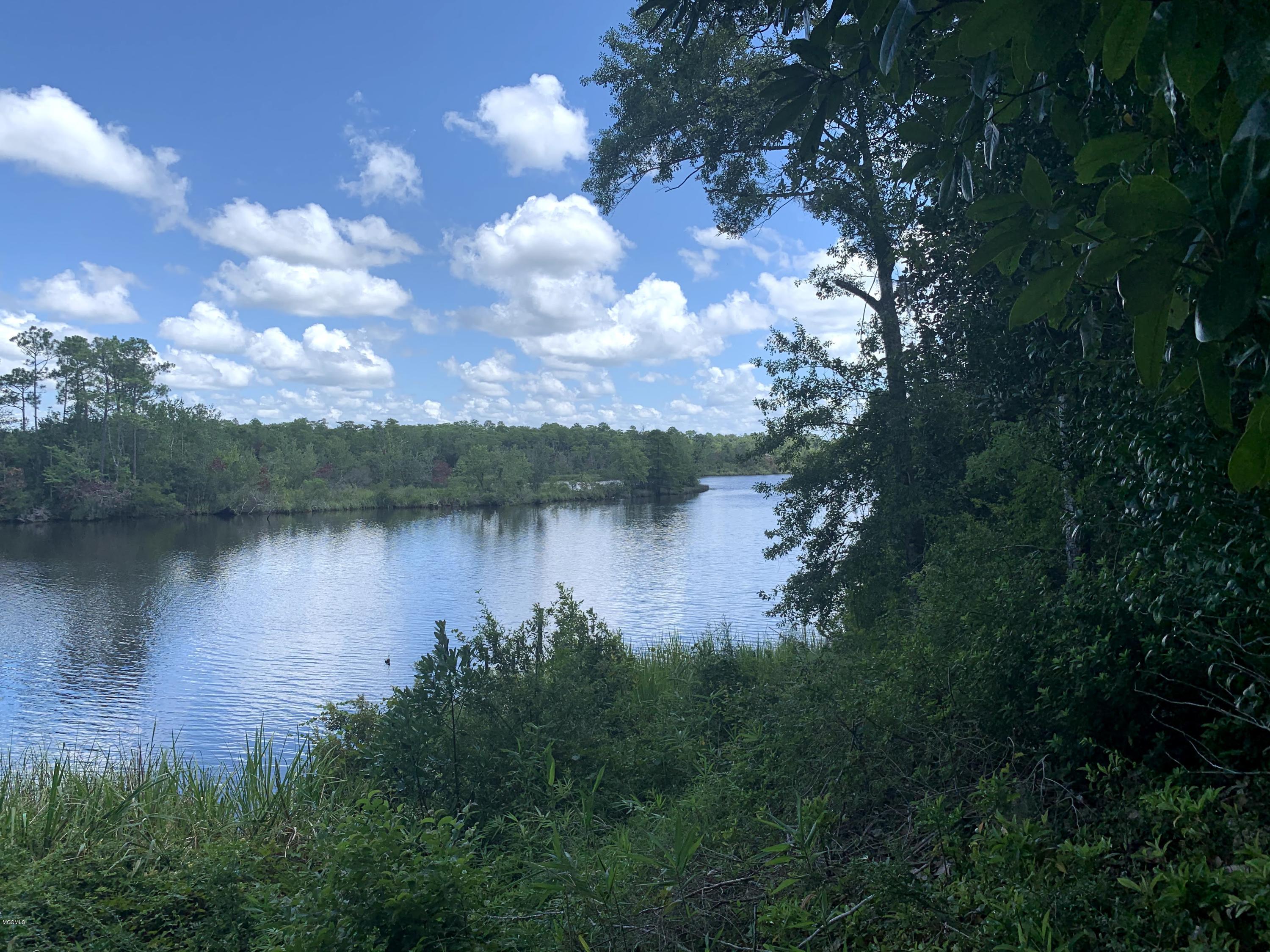 6670 Crump Road Kiln, MS 39556 - Photo 35 of 58 Jourdan River view
