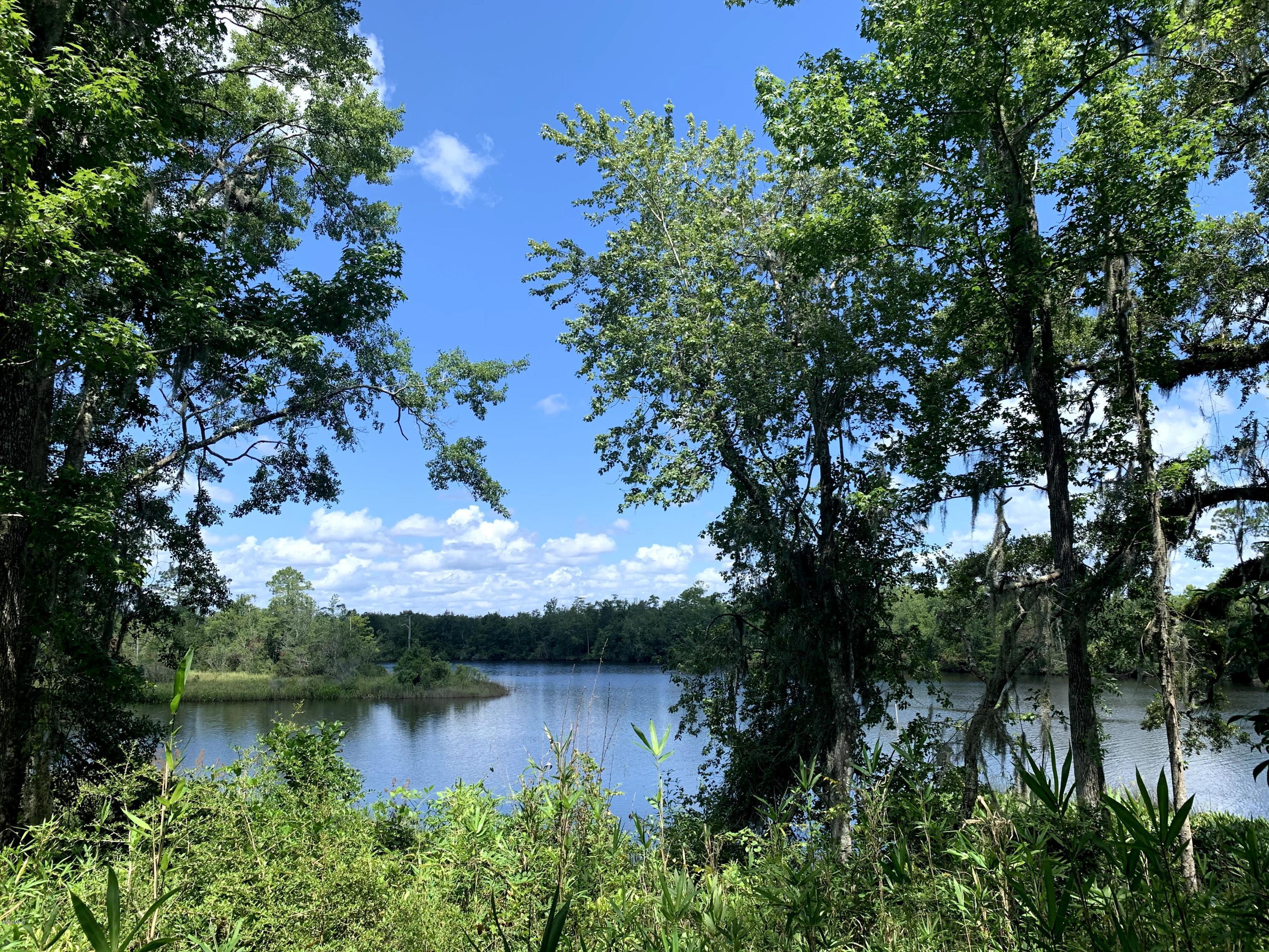 6670 Crump Road Kiln, MS 39556 - Photo 38 of 58 Jourdan River view