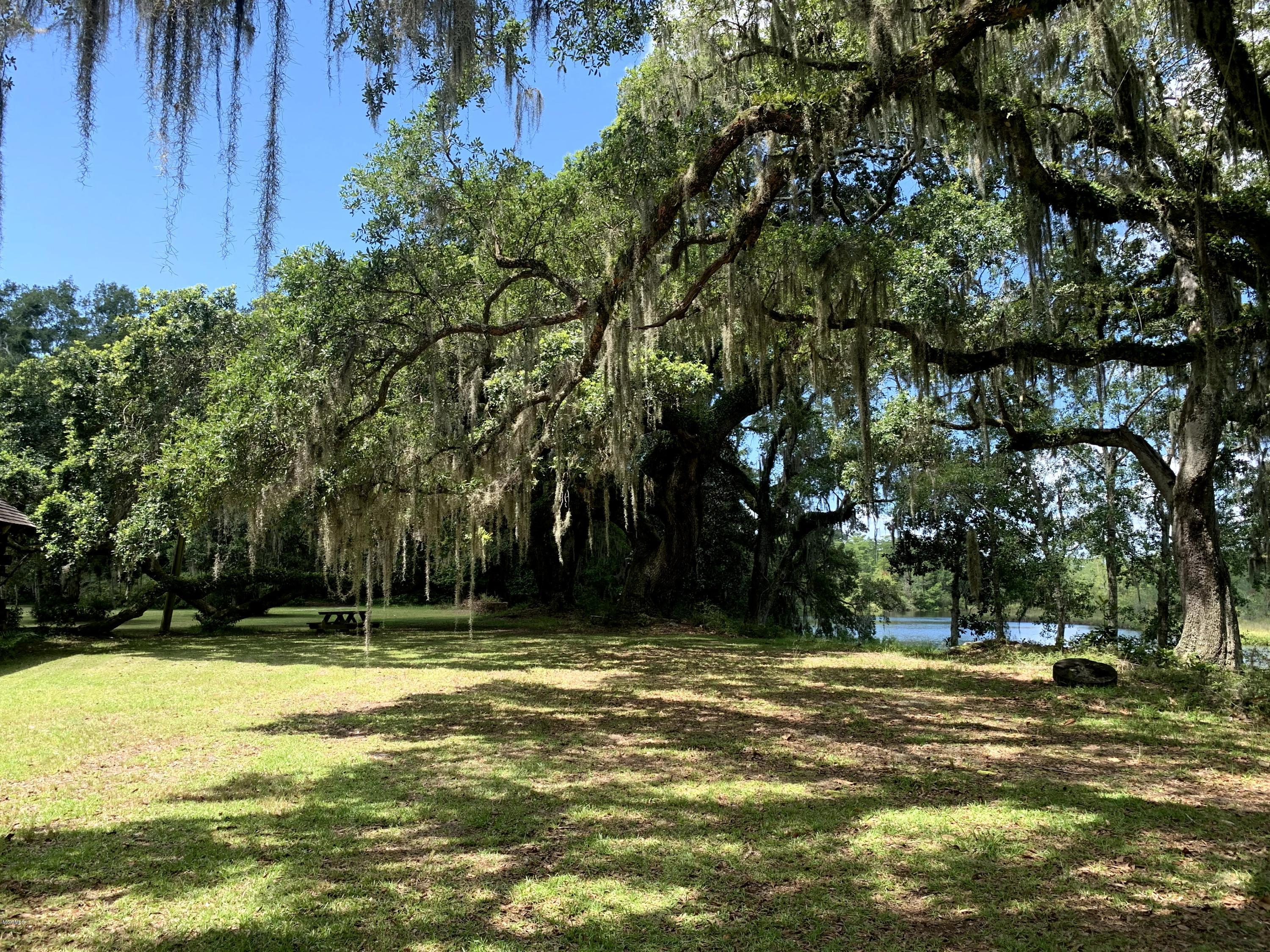 6670 Crump Road Kiln, MS 39556 - Photo 40 of 58 Live oak trees