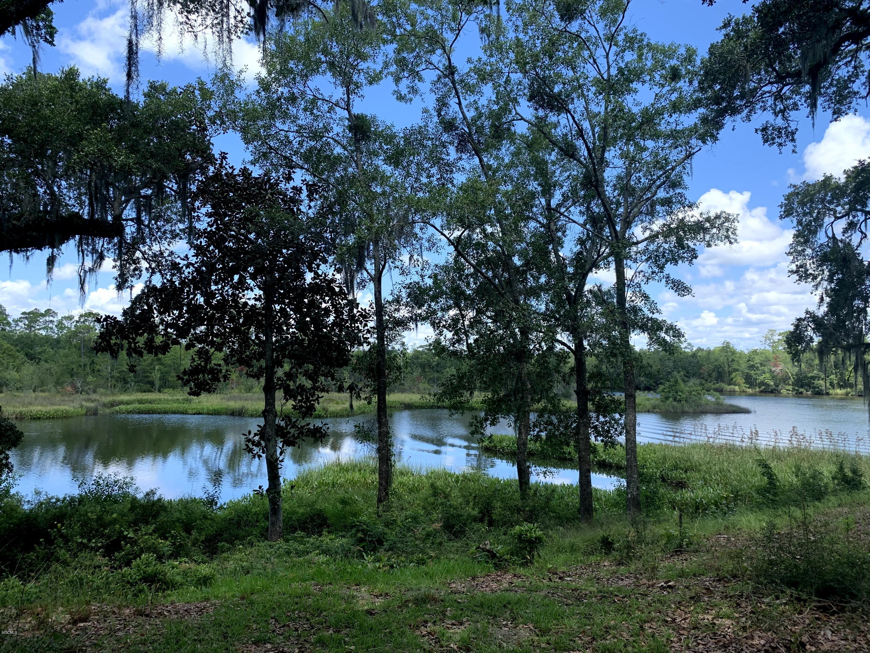 6670 Crump Road Kiln, MS 39556 - Photo 45 of 58 Jourdan River view