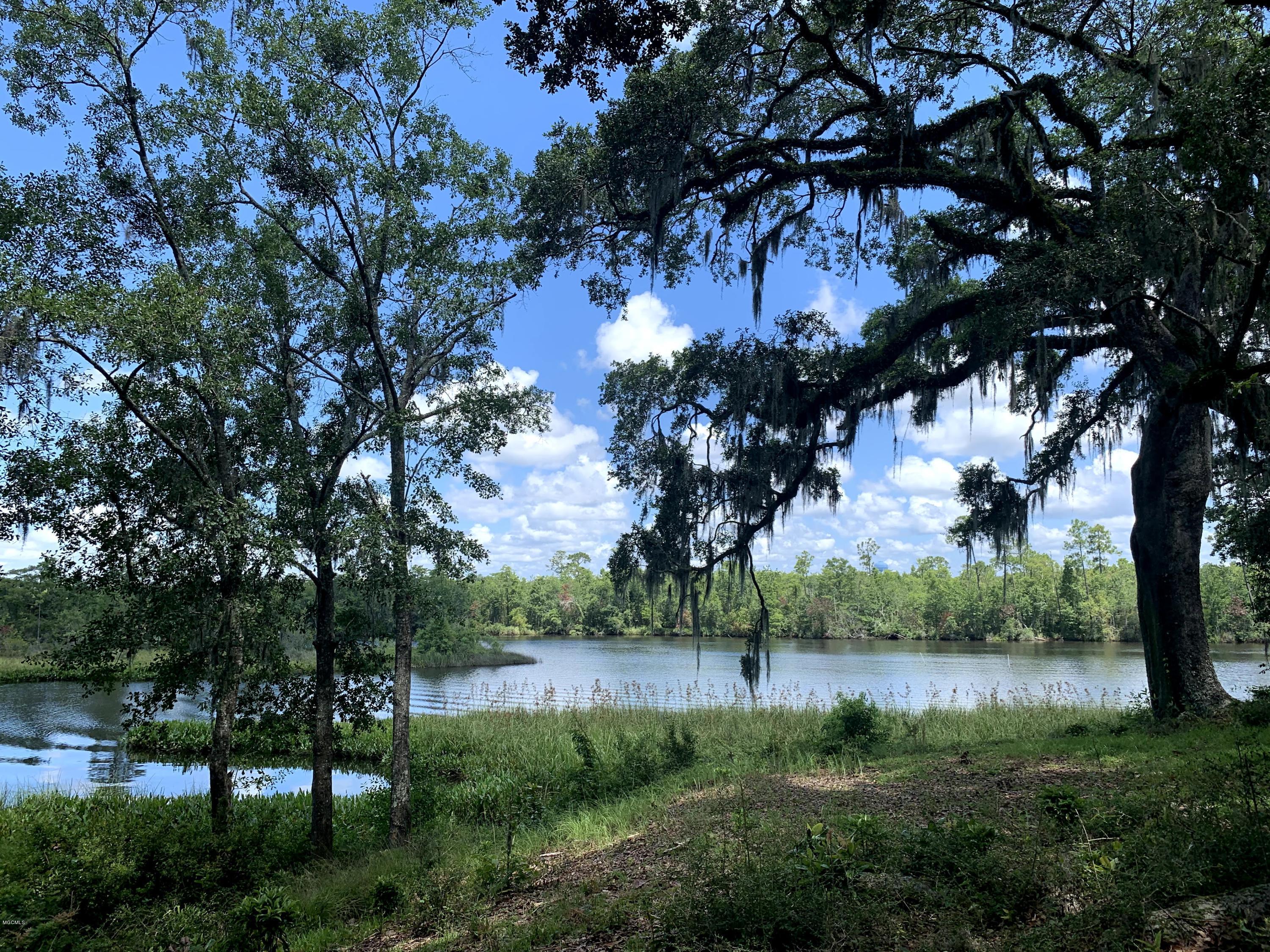 6670 Crump Road Kiln, MS 39556 - Photo 46 of 58 Jourdan River view