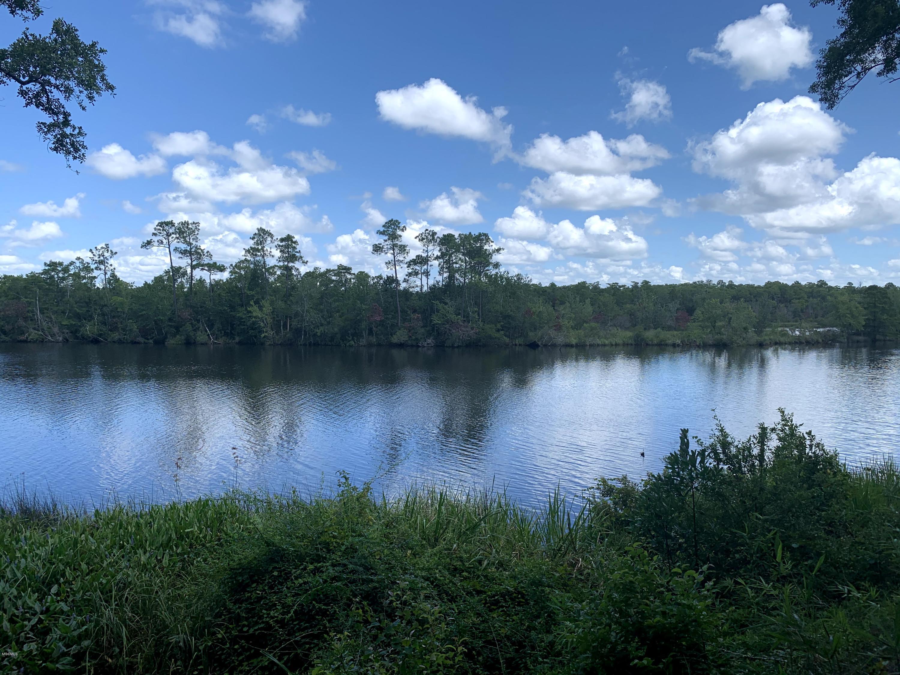 6670 Crump Road Kiln, MS 39556 - Photo 7 of 58 Jourdan River view