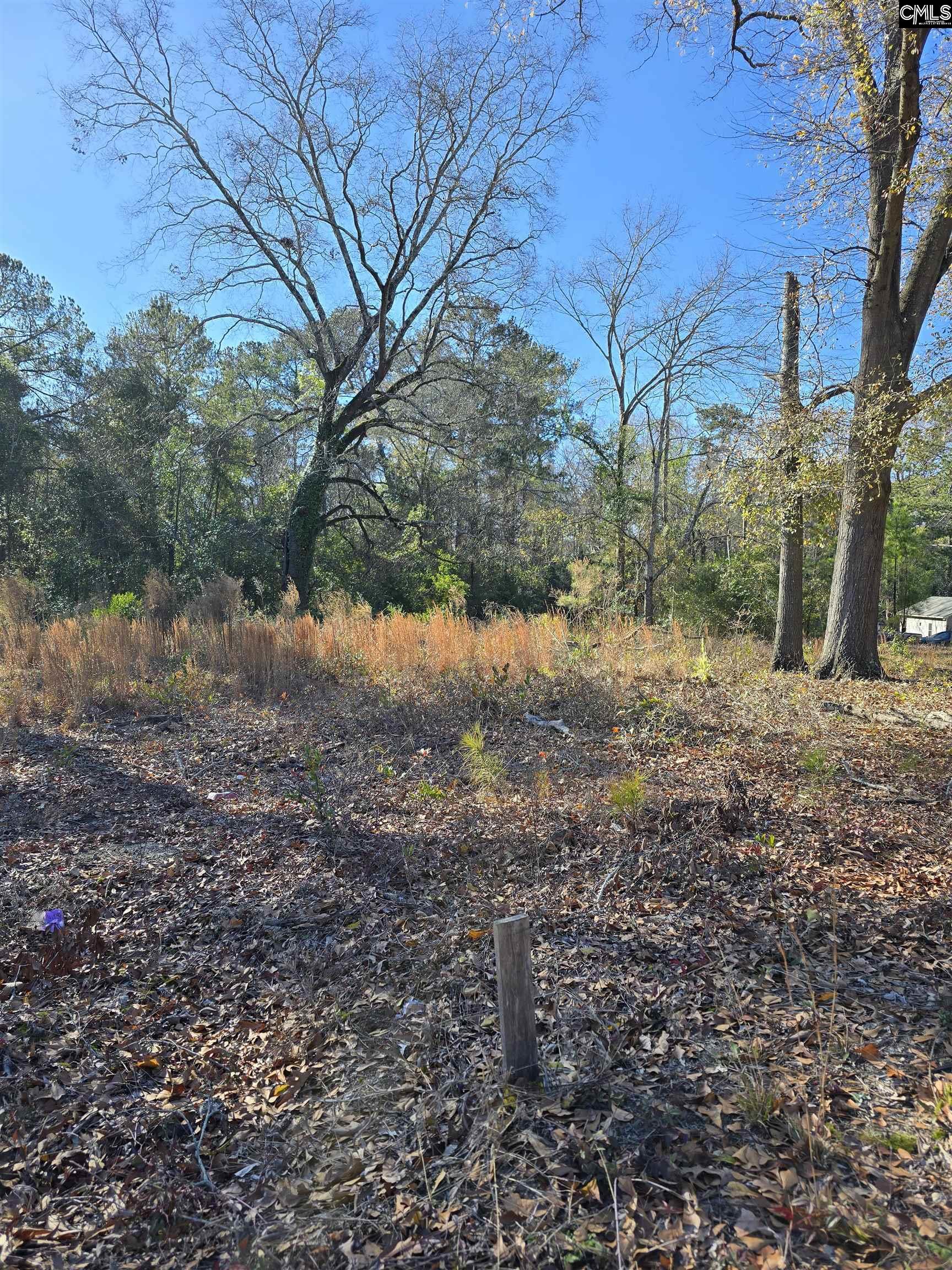 Lot 7-8 Popular Street Cayce, SC 29033 - Photo 10 of 12