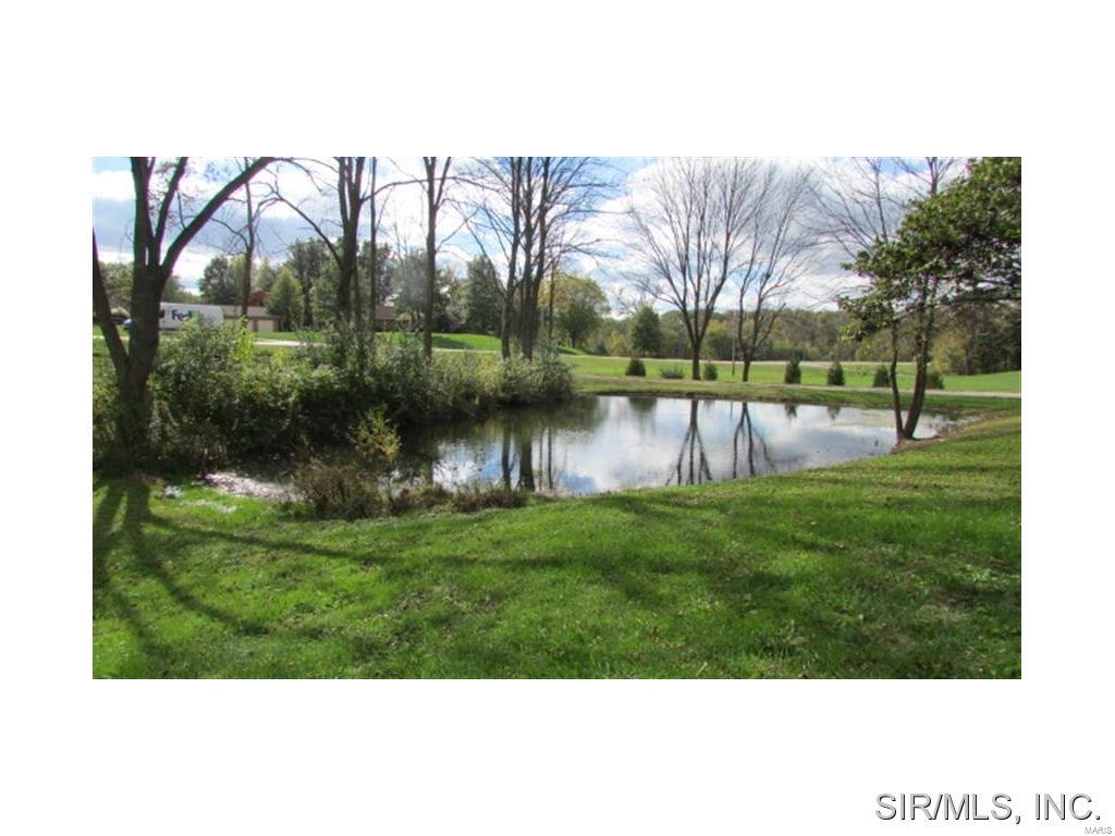 13715 St Rose Road Highland, IL 62249 - Photo 21 of 24