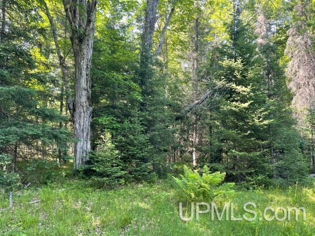 6304 Duck Lake Road Florence, WI 54121 - Photo 4 of 12