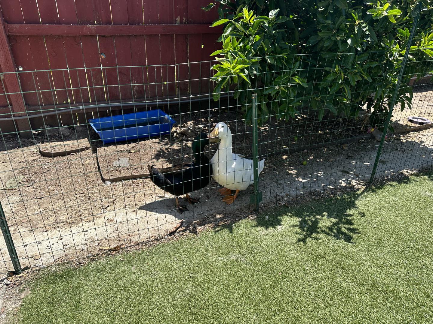 544 Sequoia Road Hayward, CA 94541 - Photo 30 of 34 a bathroom with a sink toilet and a mirror