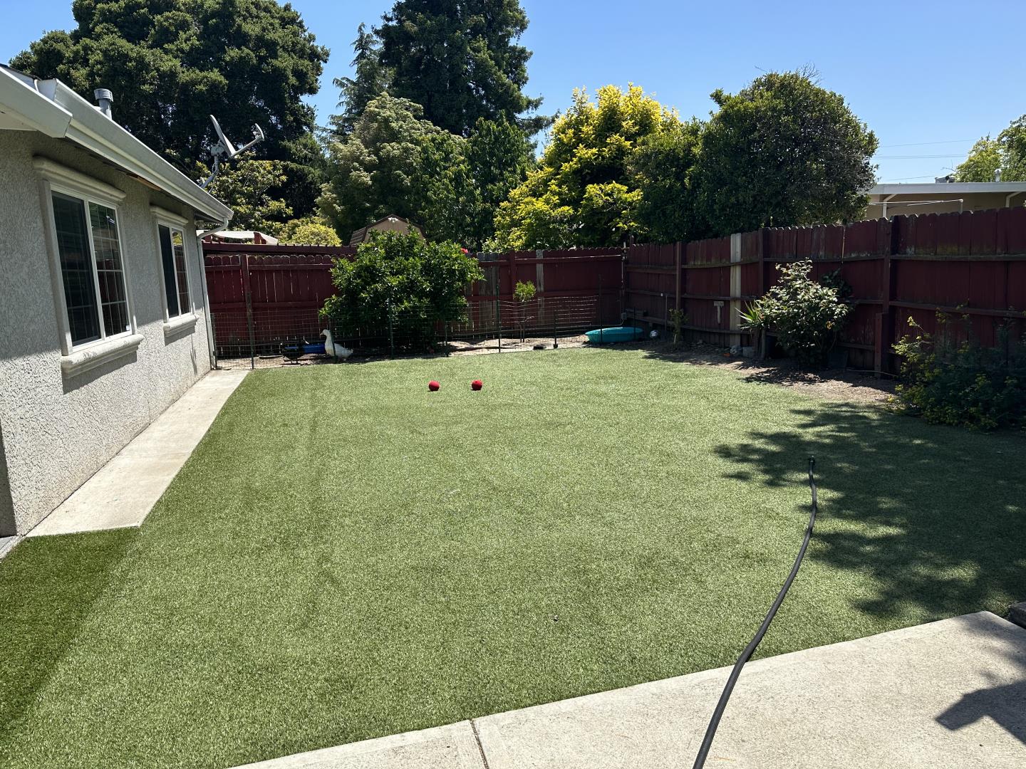 544 Sequoia Road Hayward, CA 94541 - Photo 33 of 34 a view of a backyard