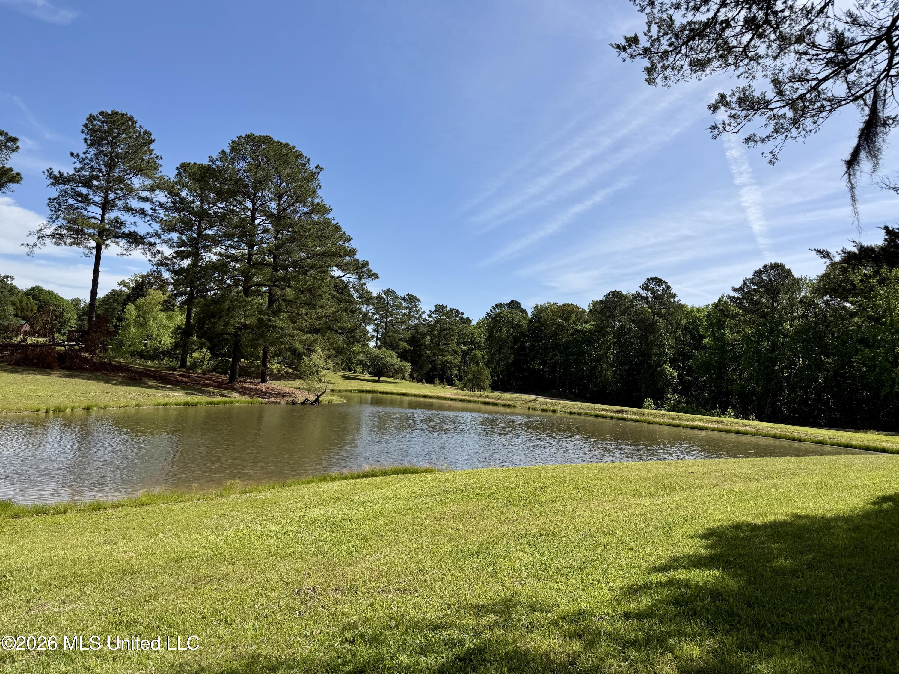 1781 Tom Crum Road Crosby, MS 39633 - Photo 27 of 47 IMG_2558