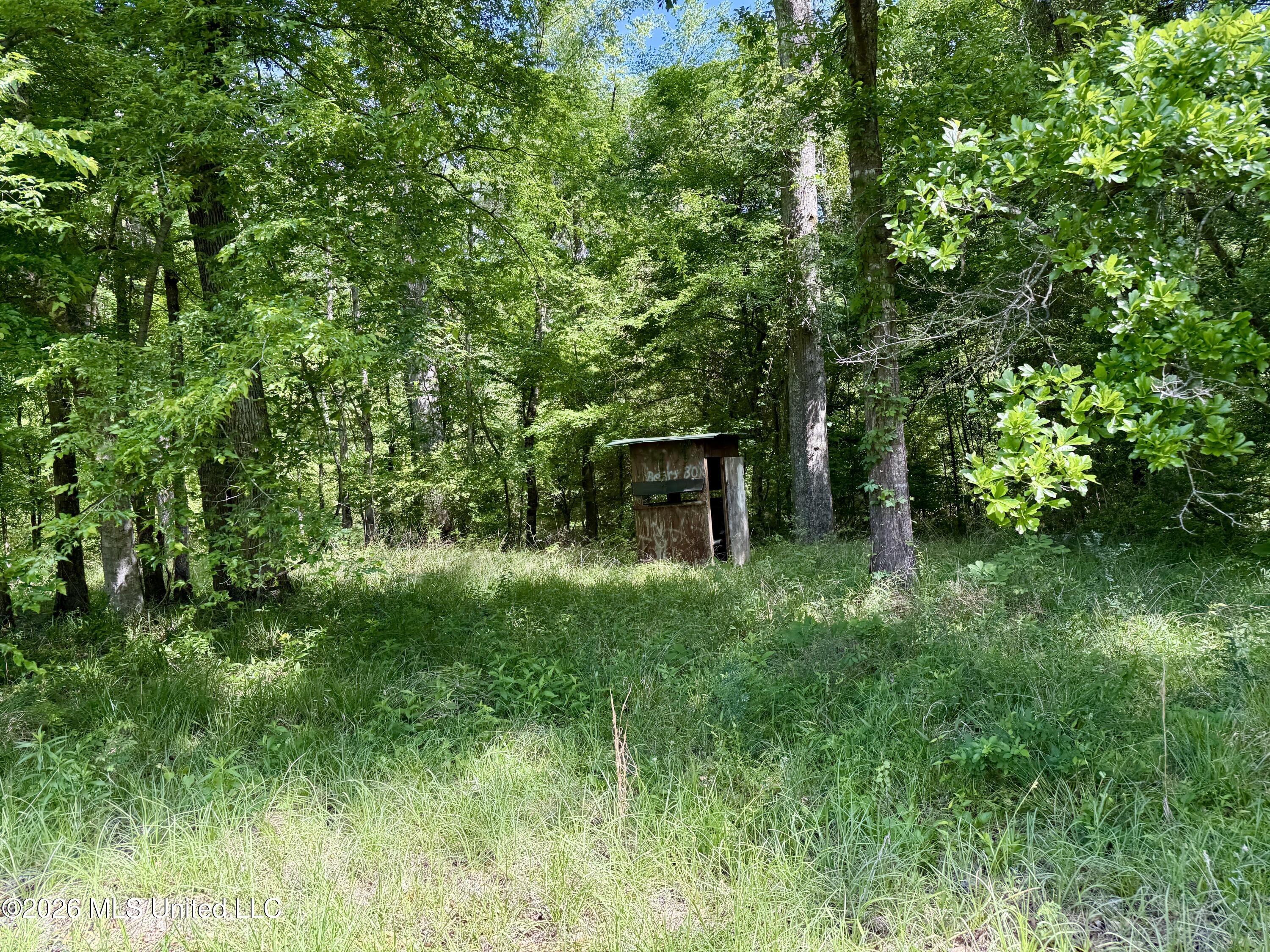 1781 Tom Crum Road Crosby, MS 39633 - Photo 31 of 47 IMG_2563