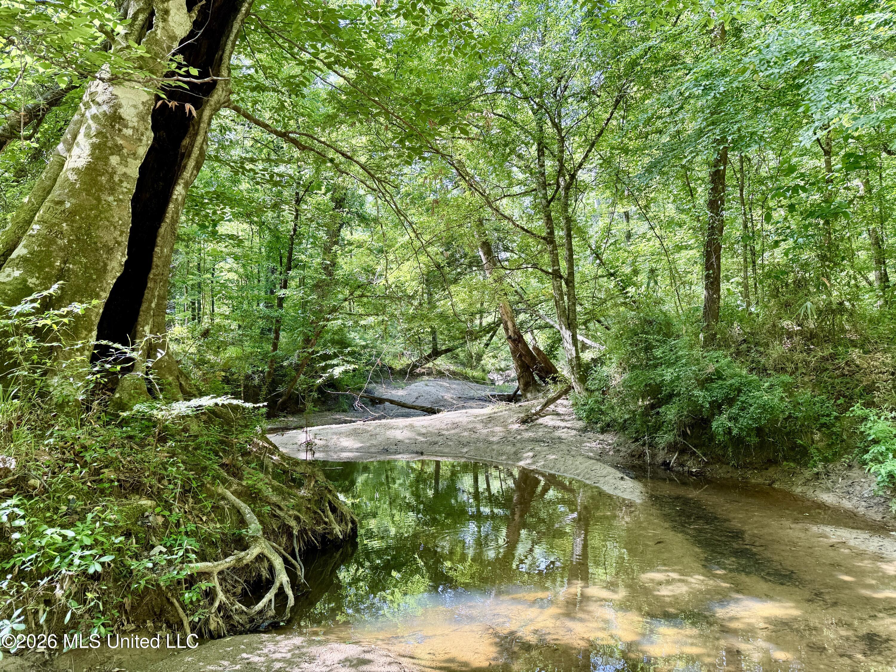 1781 Tom Crum Road Crosby, MS 39633 - Photo 33 of 47 IMG_2566