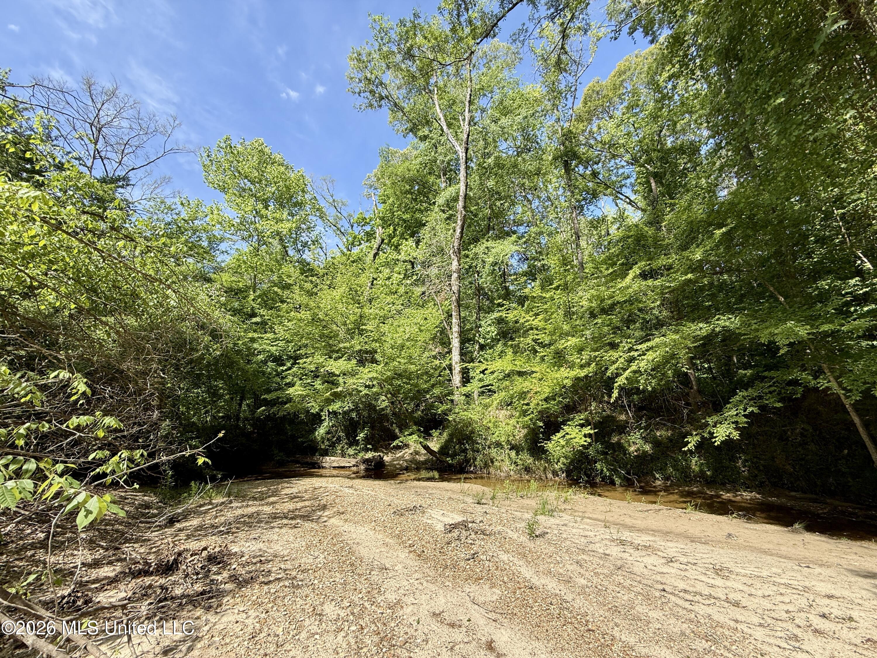 1781 Tom Crum Road Crosby, MS 39633 - Photo 35 of 47 IMG_2569