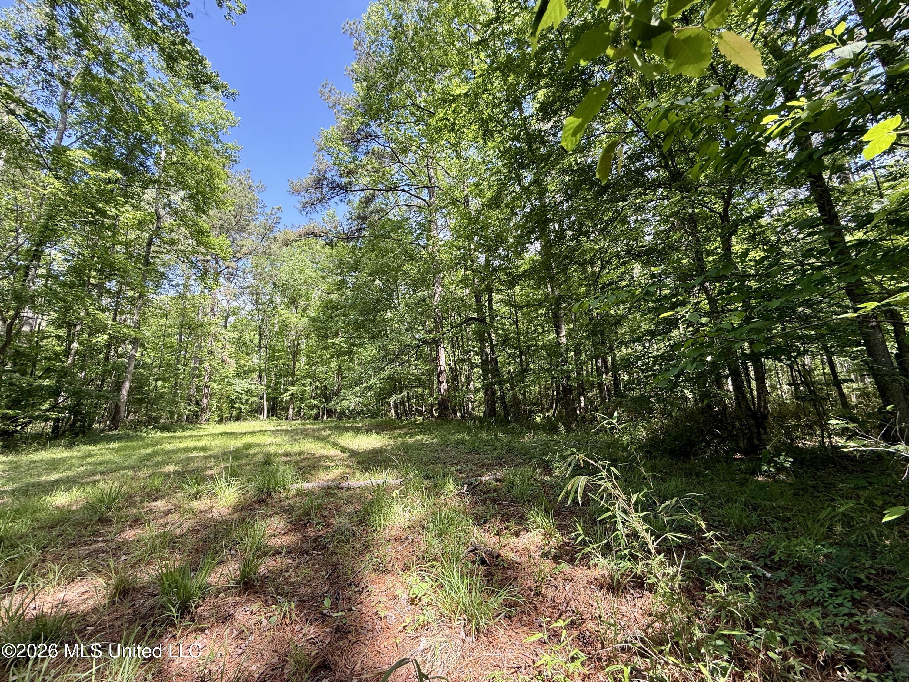 1781 Tom Crum Road Crosby, MS 39633 - Photo 36 of 47 IMG_2570