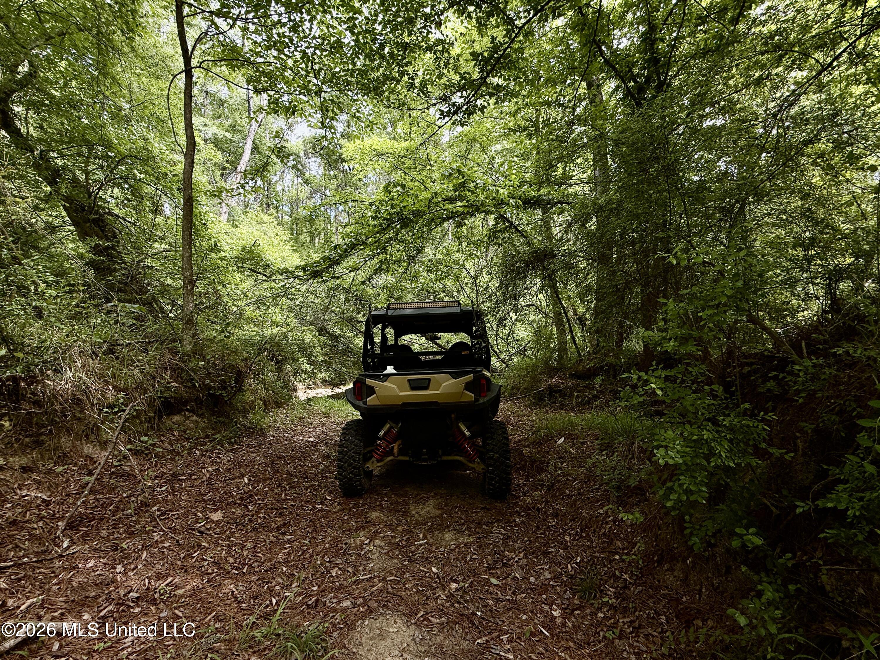 1781 Tom Crum Road Crosby, MS 39633 - Photo 44 of 47 IMG_2588