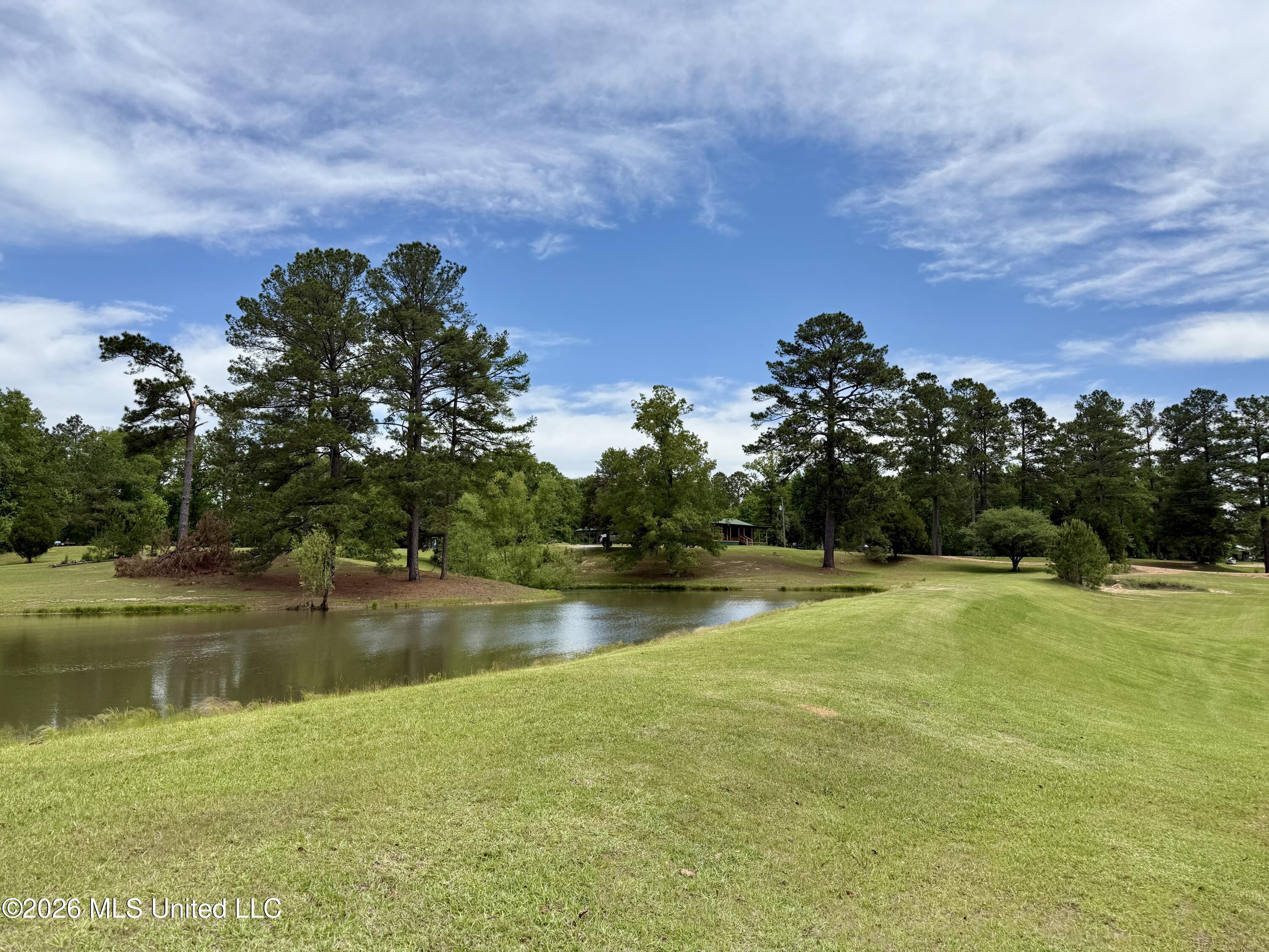 1781 Tom Crum Road Crosby, MS 39633 - Photo 46 of 47 IMG_2590