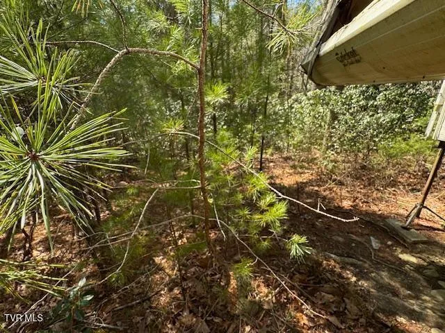 $15,000 | 0 Buck Hollow Trail, Unit 25, Sugar Grove, VA 24375