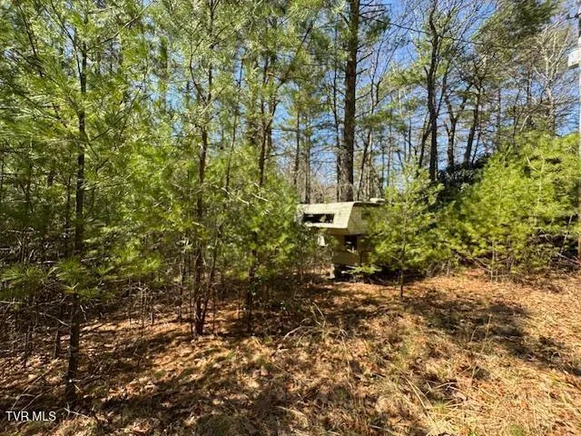 $15,000 | 0 Buck Hollow Trail, Unit 25, Sugar Grove, VA 24375