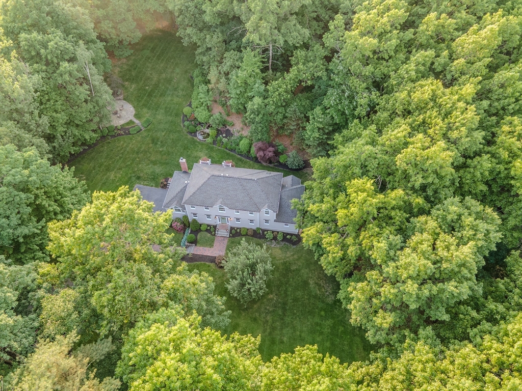 28 Charles Road Groton, MA 01450 - Photo 2 of 42 a view of a garden with a tree
