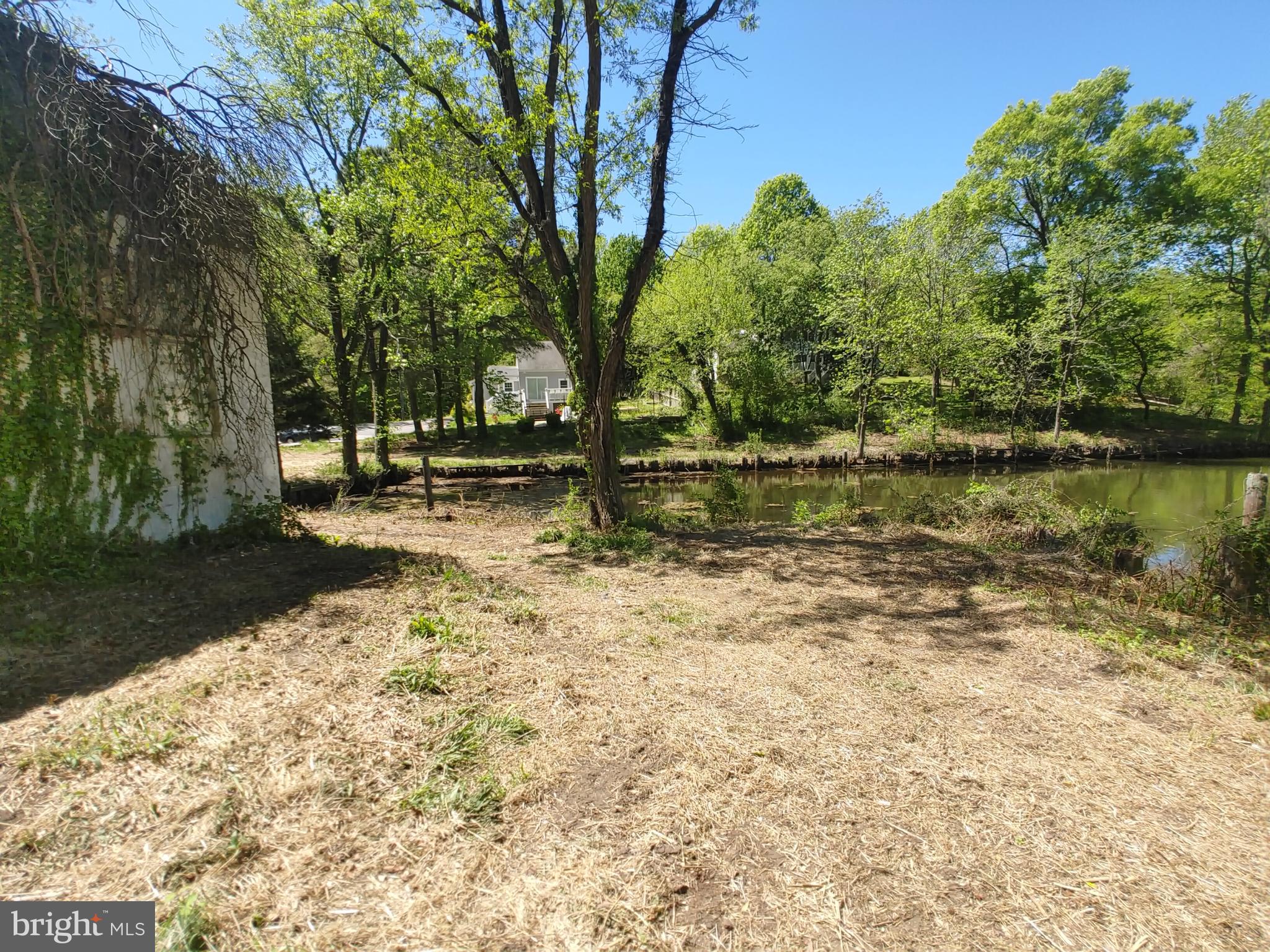 4180 Shoreham Beach Road Edgewater, MD 21037 - Photo 8 of 26 a backyard of a house with lots of green space