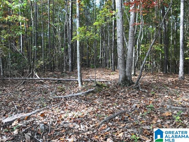 2 Ridgeline Drive, Unit 2 Calera, AL 35040 - Photo 5 of 6