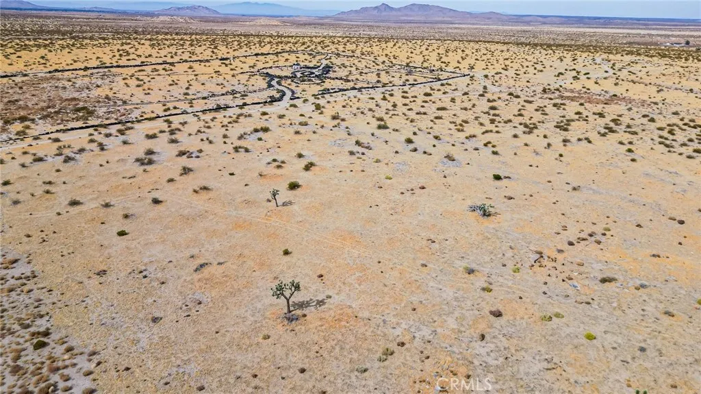 227 P Street East Palmdale, CA 93591 - Photo 17 of 20 a bathroom with a shower curtain
