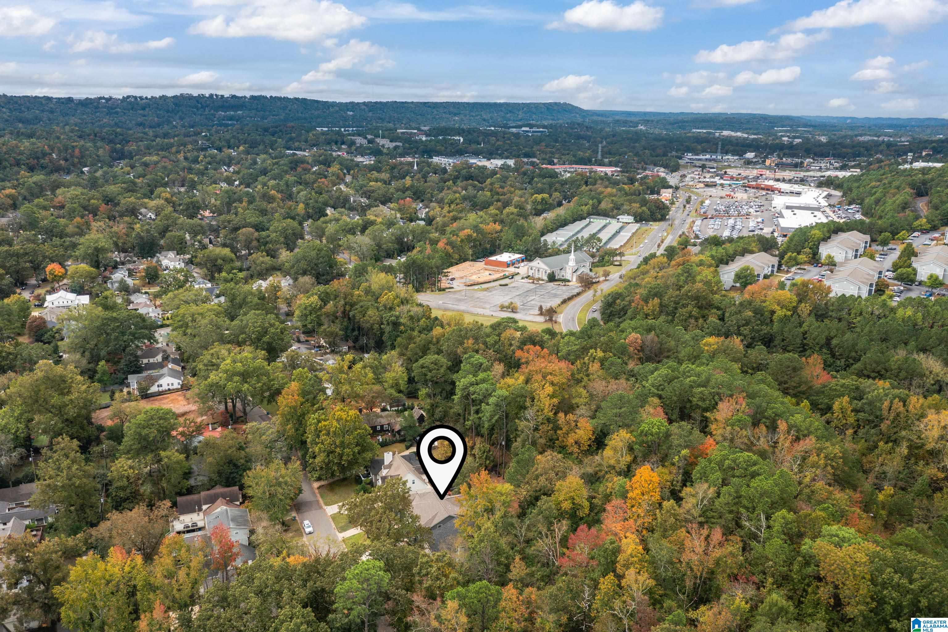 210 Edgeview Avenue Birmingham, AL 35209 - Photo 7 of 93