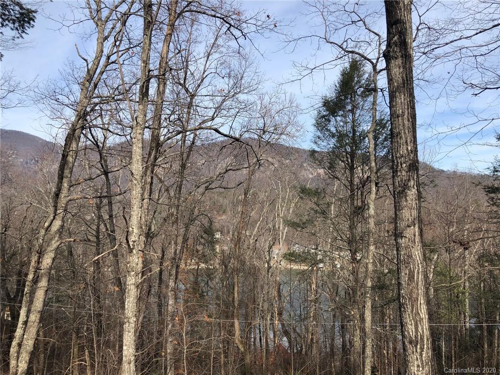 364 Seton Road Lake Lure, NC 28746 - Photo 3 of 16 Gallery Image 3