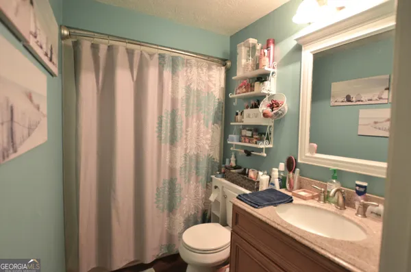 a bathroom with a sink a toilet and shower curtain