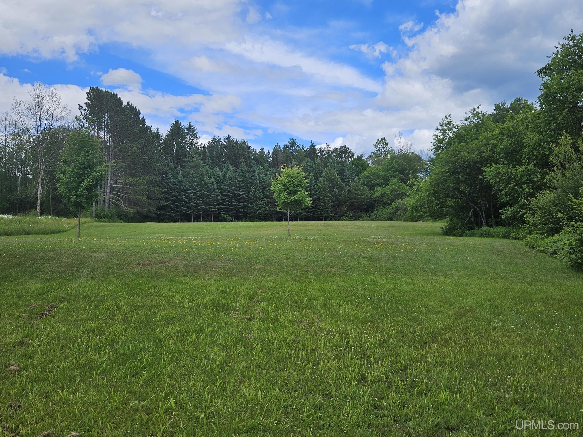 5.9-acres Jackson Road Ironwood, MI 49938 - Photo 5 of 12