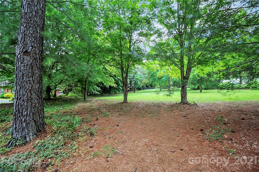 2101 Stallings Road Harrisburg, NC 28075 - Photo 36 of 45 a view of outdoor space with trees