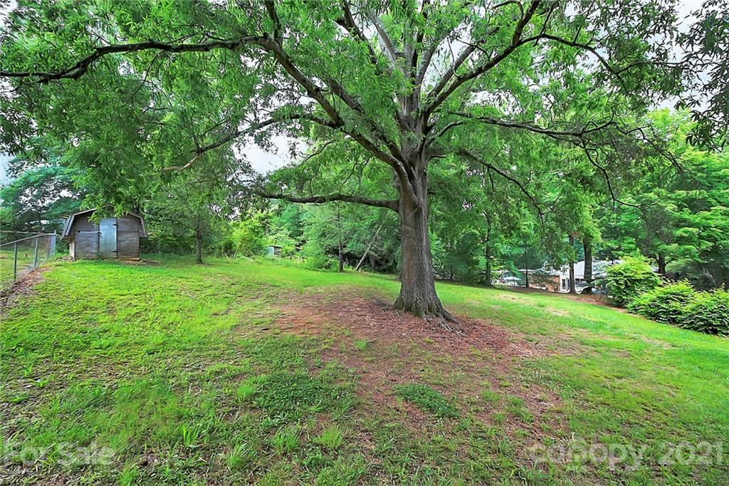 2101 Stallings Road Harrisburg, NC 28075 - Photo 41 of 45 a view of a yard with a tree
