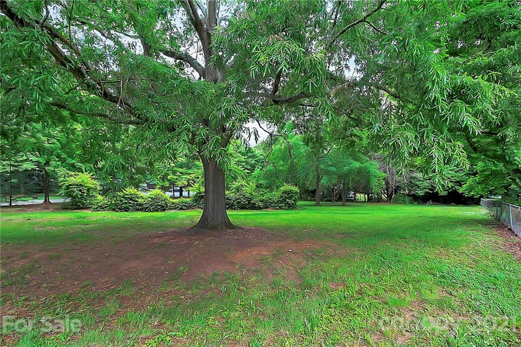 2101 Stallings Road Harrisburg, NC 28075 - Photo 42 of 45 a view of a yard with large trees