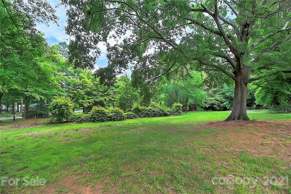 2101 Stallings Road Harrisburg, NC 28075 - Photo 43 of 45 a view of a yard with a tree