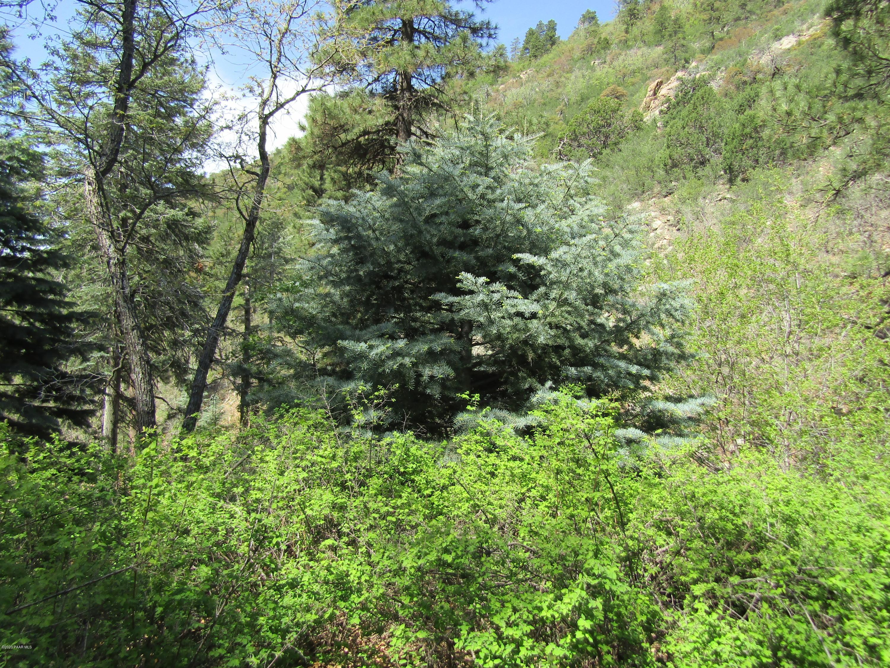2 East Poland Road Mayer, AZ 86333 - Photo 10 of 15 012_Cabin Site 2