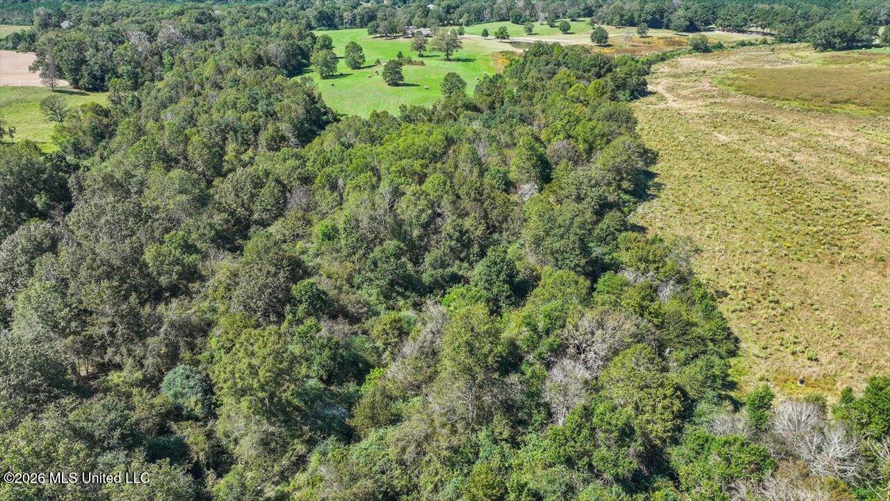 Dry Creek Road Magee, MS 39111 - Photo 22 of 42 23-0 Dry Creek Rd