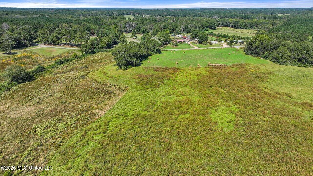 Dry Creek Road Magee, MS 39111 - Photo 30 of 42 31-0 Dry Creek Rd