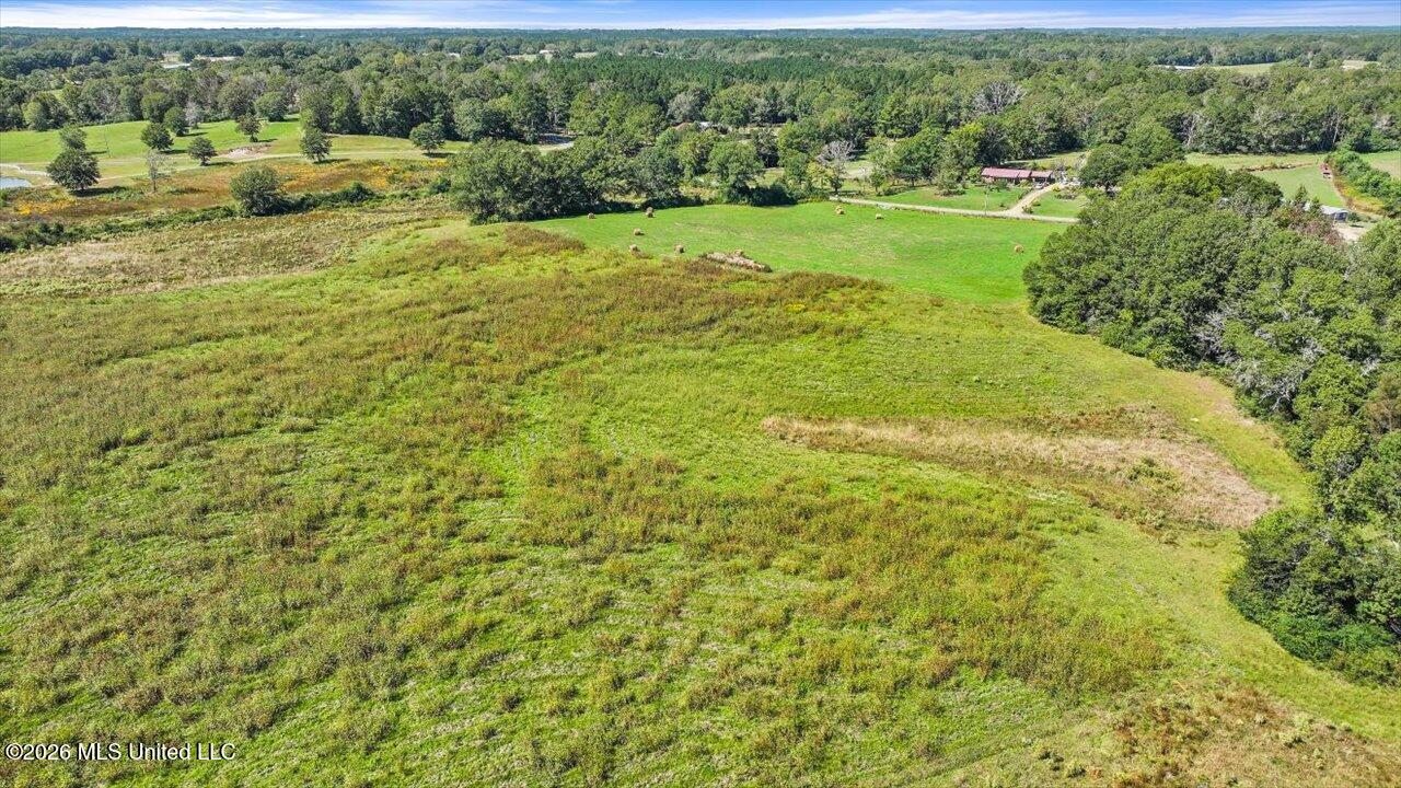 Dry Creek Road Magee, MS 39111 - Photo 31 of 42 32-0 Dry Creek Rd