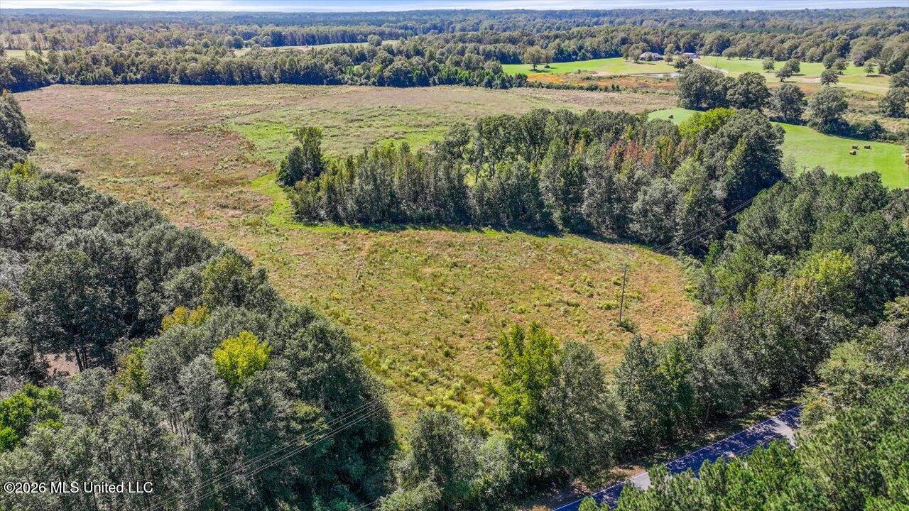 Dry Creek Road Magee, MS 39111 - Photo 42 of 42 43-0 Dry Creek Rd