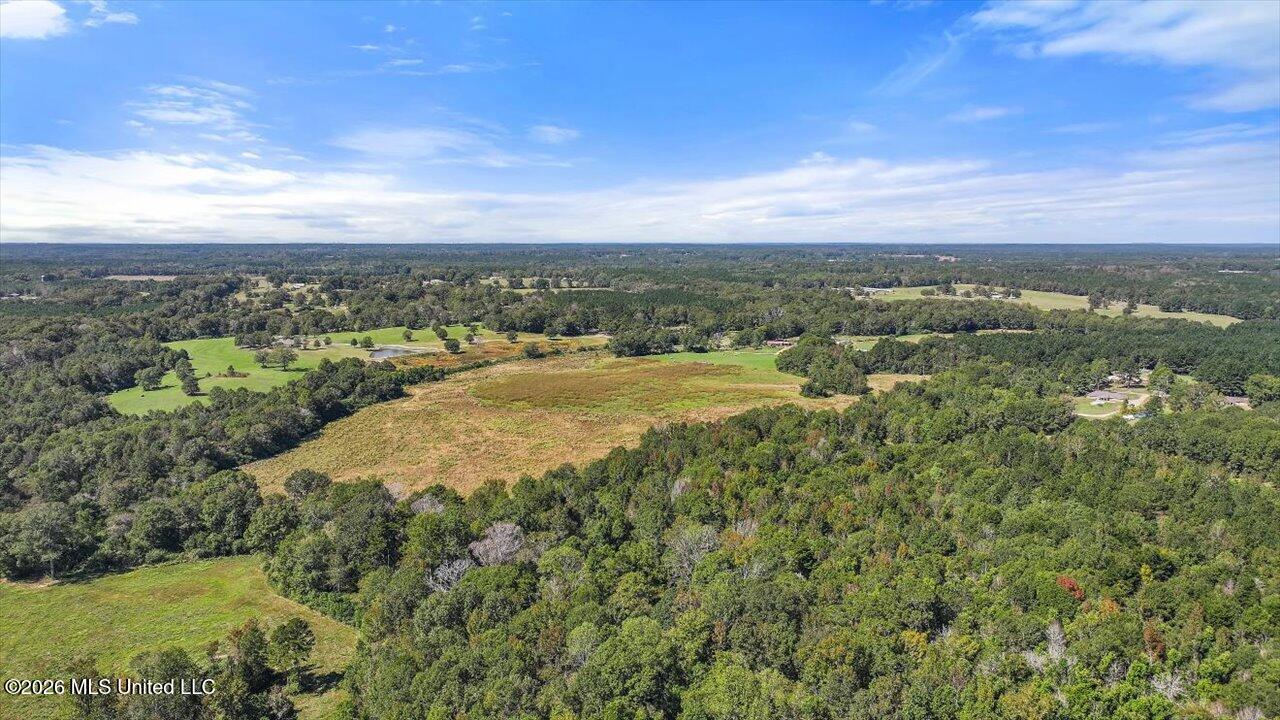 Dry Creek Road Magee, MS 39111 - Photo 8 of 42 09-0 Dry Creek Rd