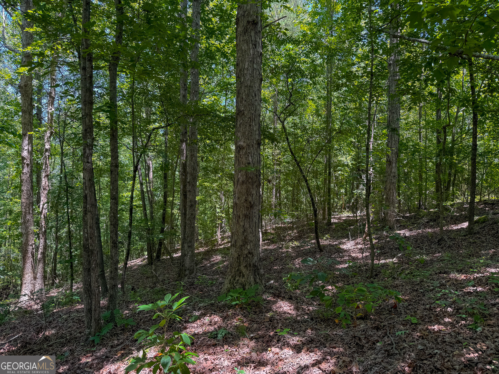 6687 Green Grove Road Lumpkin, GA 31815 - Photo 18 of 25